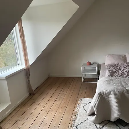 Udlejning Af To Vaerelser Med Udsigt Til Parken Beliggende I Centrum Homestay Odense
