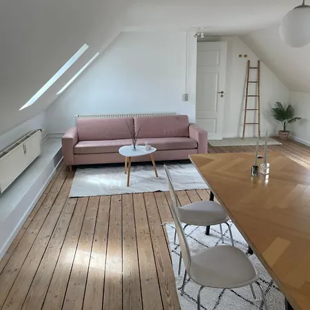 Udlejning Af To Vaerelser Med Udsigt Til Parken Beliggende I Centrum Homestay Odense