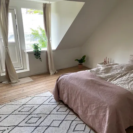Udlejning Af To Vaerelser Med Udsigt Til Parken Beliggende I Centrum Homestay Odense