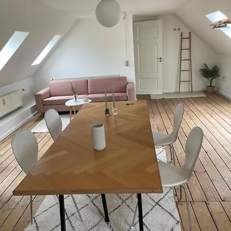Udlejning Af To Vaerelser Med Udsigt Til Parken Beliggende I Centrum Privatunterkunft Odense