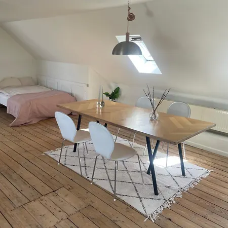 Udlejning Af To Vaerelser Med Udsigt Til Parken Beliggende I Centrum Privat bolig Odense