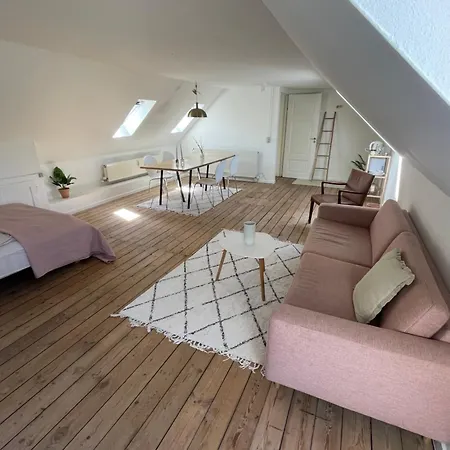 Udlejning Af To Vaerelser Med Udsigt Til Parken Beliggende I Centrum Odense