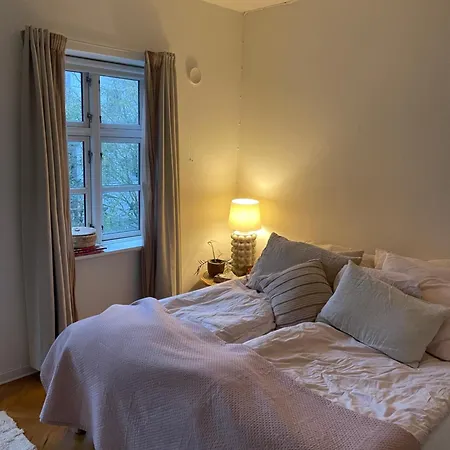 Stort Vaerelse Udlejes I Herskabslejlighed Midt I By Habitación en casa particular Odense