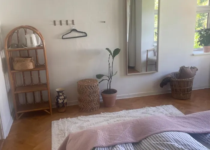 Stort Vaerelse Udlejes I Herskabslejlighed Midt I By *