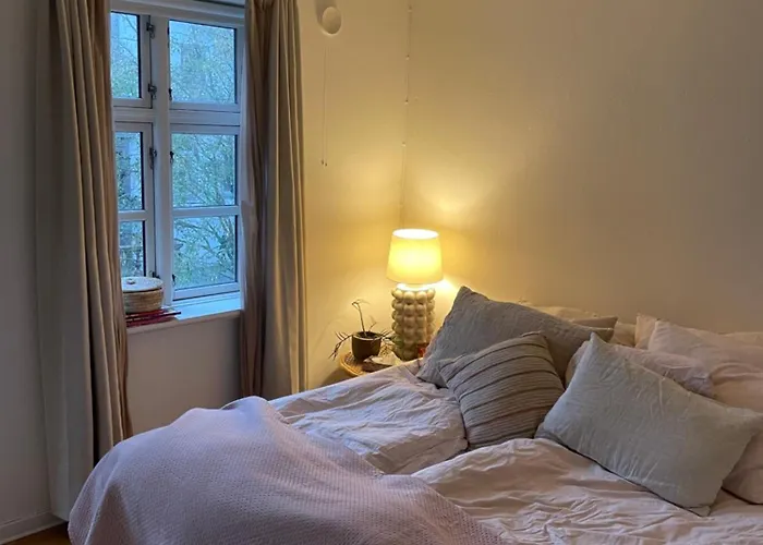 Stort Vaerelse Udlejes I Herskabslejlighed Midt I By Rum i privatbostad Odense